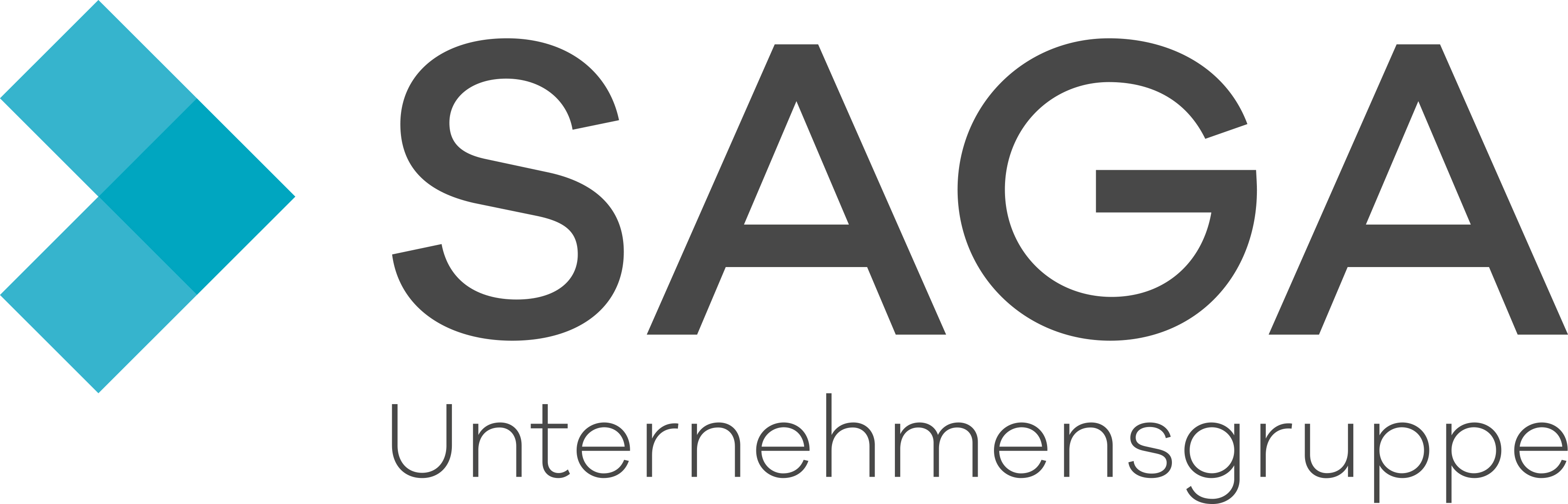 Logo SAGA